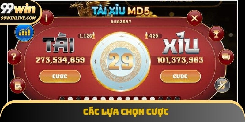Hướng dẫn chơi tài xỉu online minh họa rõ vị trí các lựa chọn cược