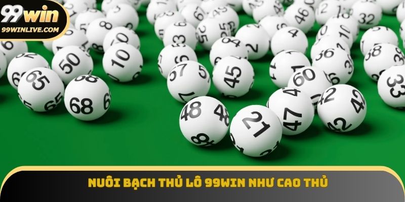 Nuôi bạch thủ lô 99win như cao thủ