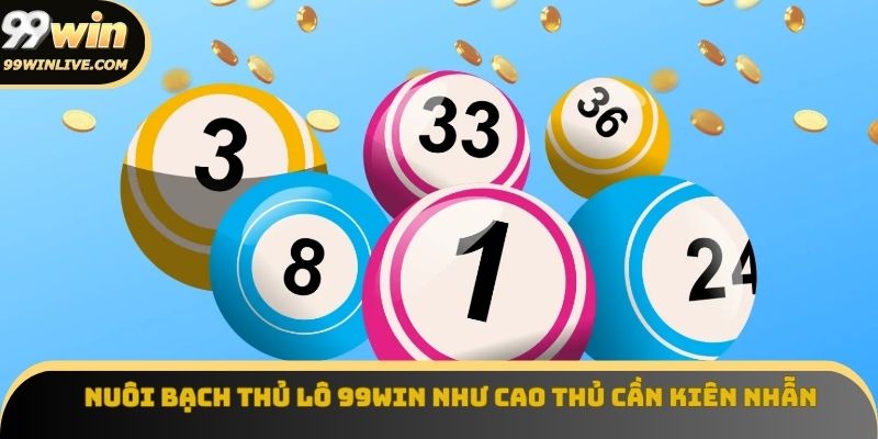 Nuôi bạch thủ lô 99win như cao thủ cần kiên nhẫn